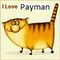 paymanzox